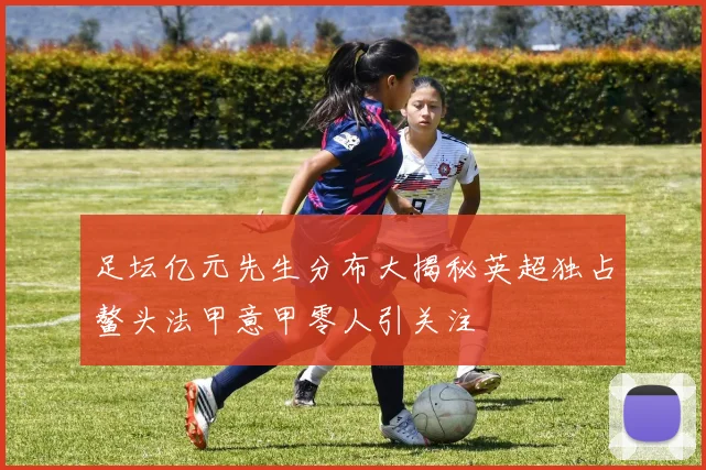 足坛亿元先生分布大揭秘英超独占鳌头法甲意甲零人引关注
