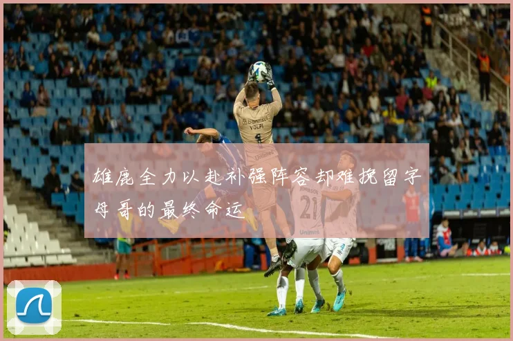 雄鹿全力以赴补强阵容却难挽留字母哥的最终命运
