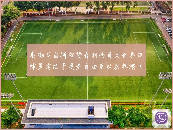 泰勒亚当斯称赞普利西奇为世界级球员需给予更多自由度以发挥潜力